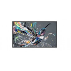 Philips 32" Q-Line 18/7, FHD, basic  (32BDL3511Q/00)
