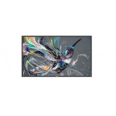 Philips 55" Q-Line 18/7, 4K UHD,  (55BDL3511Q/00)