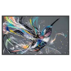 Philips 75" Q-Line 18/7, 4K UHD,  (75BDL3511Q/00)